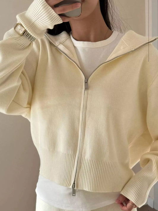Plush Zip-Up Hoodie and Pants Set