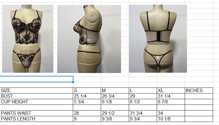 Ladies Sexy Nude/ Black Embroidery Sheer Corset w/ Matching Panty