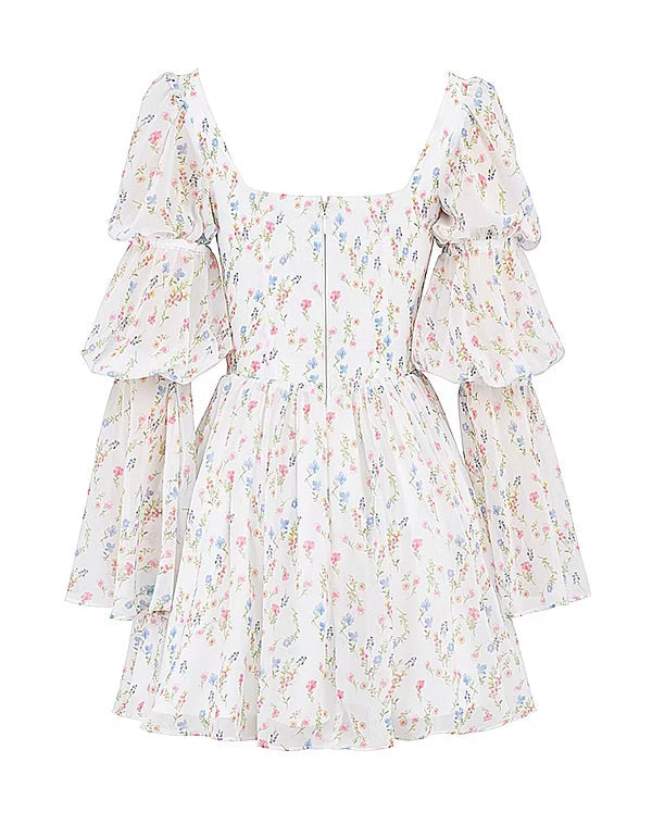 Sancia floral mini dress