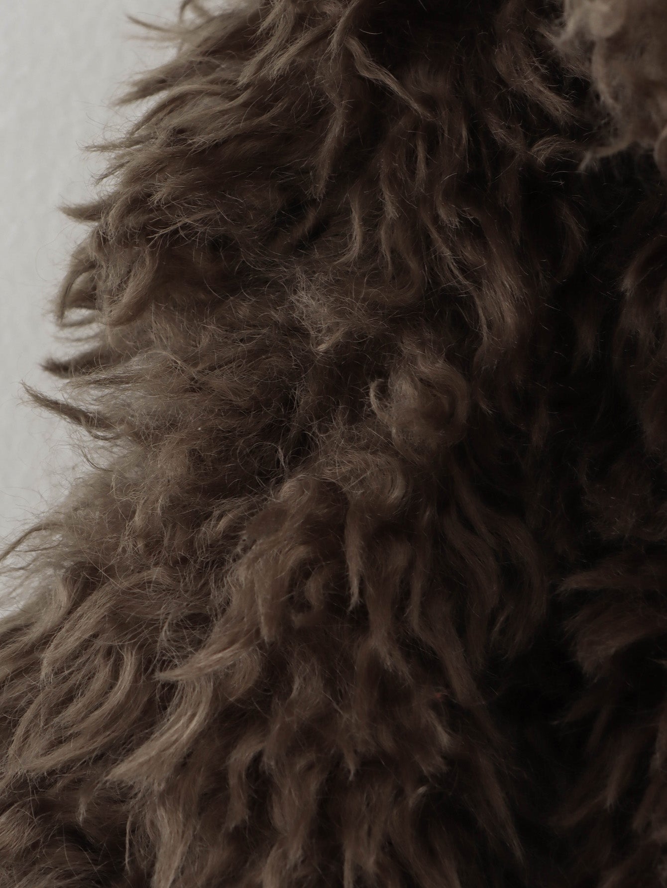 Faux Furry Fur Short Fur Coat Coat