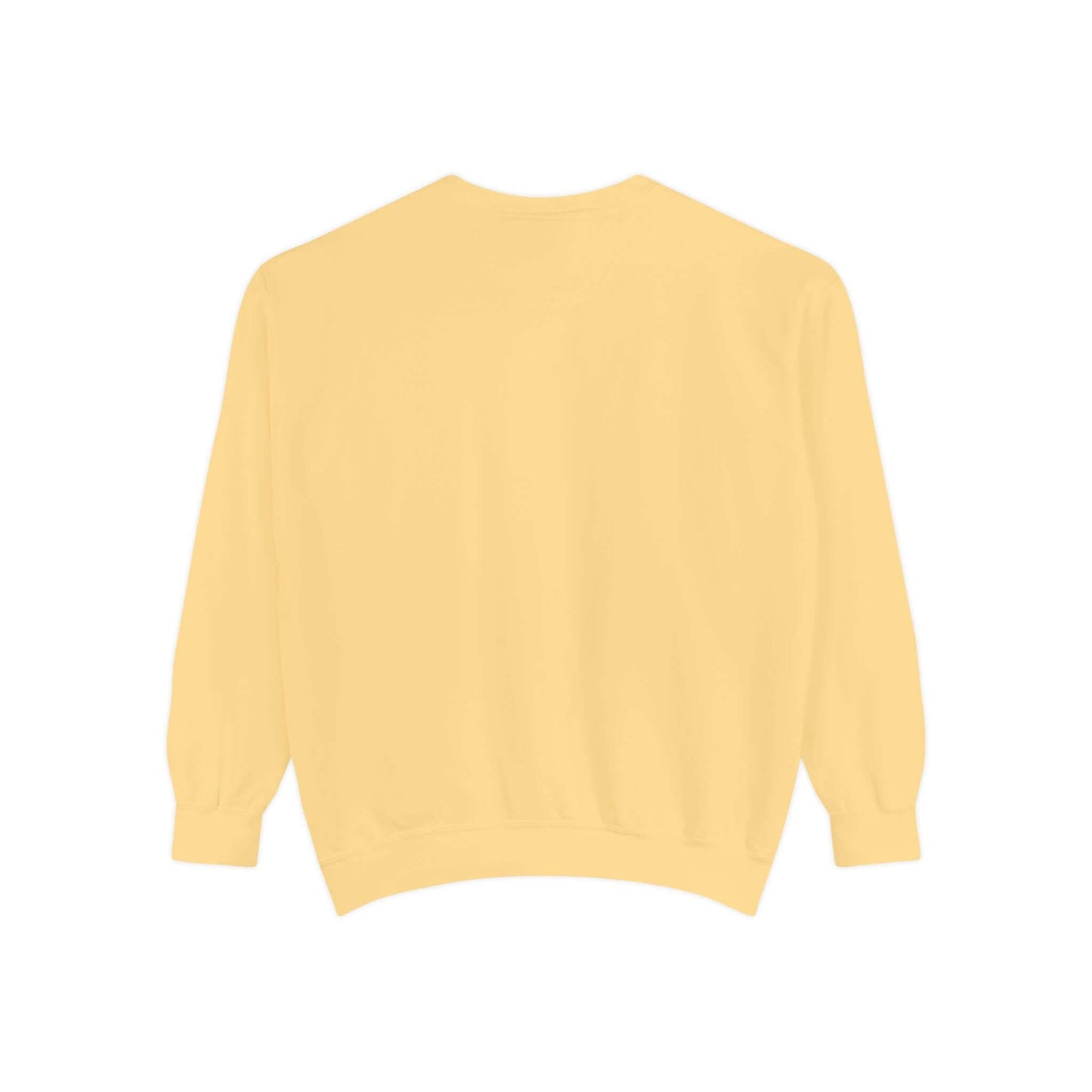 Red White and Blue Sweatshirt — America's 250th Celebration