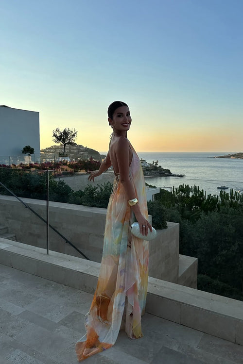 Vaivah Backless Print Chiffon Maxi Dress
