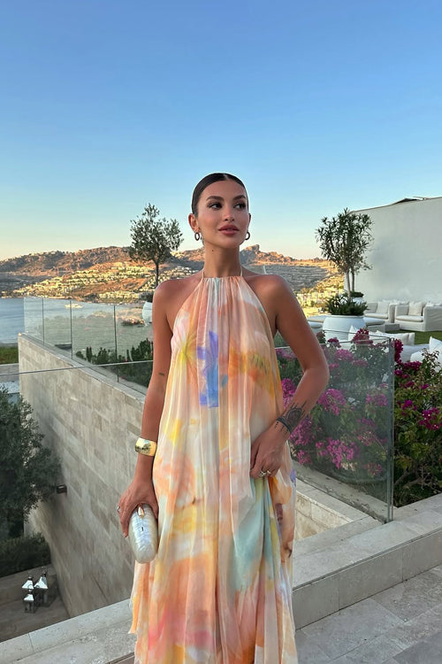 Vaivah Backless Print Chiffon Maxi Dress