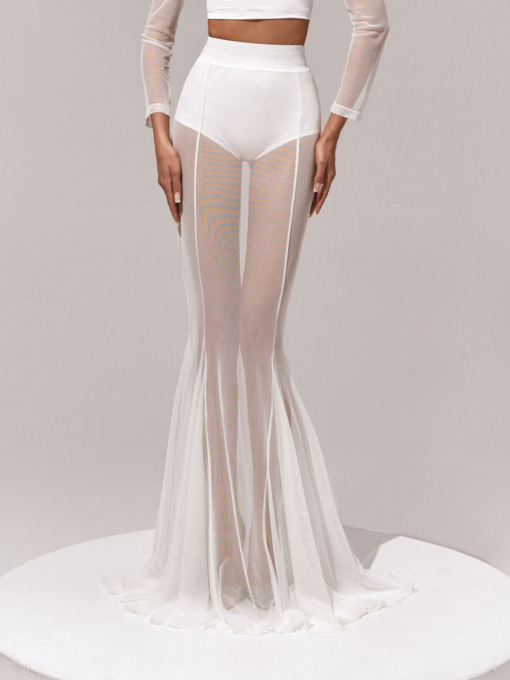 Elegant Sheer Mesh Flared Skirt White