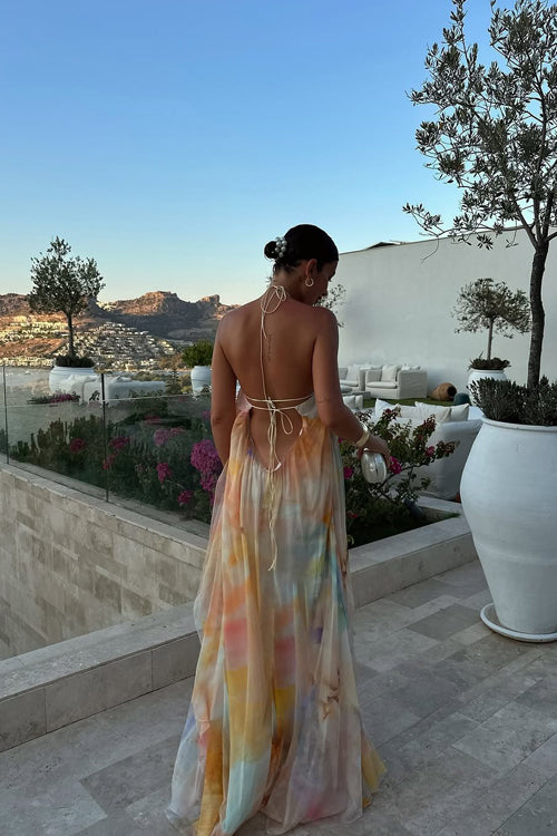 Vaivah Backless Print Chiffon Maxi Dress