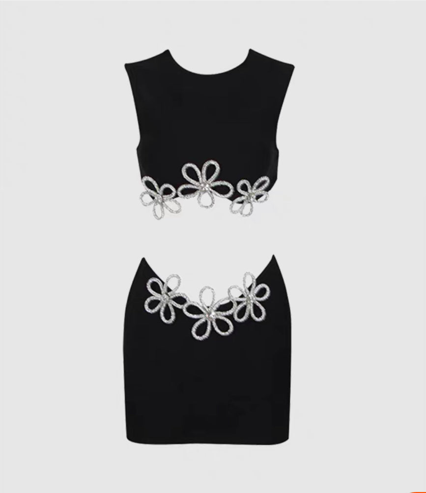 Lisa skirt/top set
