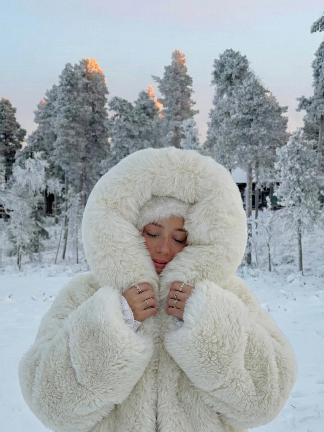 Athena | Faux Fur Hooded Statement Coat
