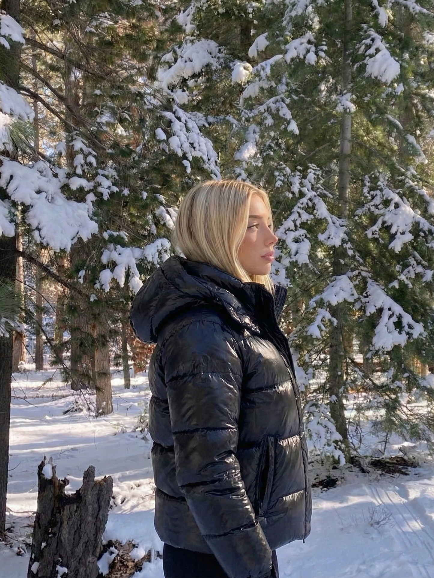 Copenhagen | Glossy Hooded Puffer Jacket